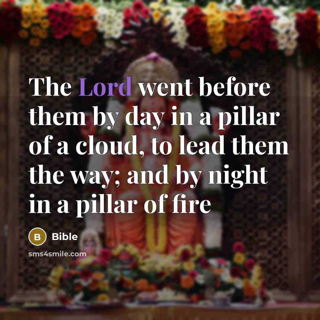 “The Lord went before them by day in a pillar…” quote by Bible