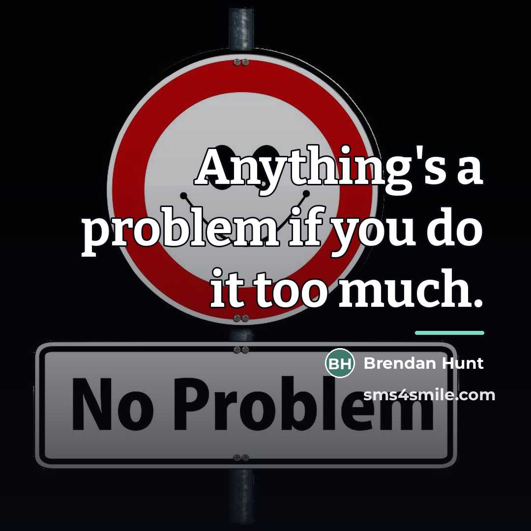 “Anything's a problem if you do it too much.…” quote by Brendan Hunt