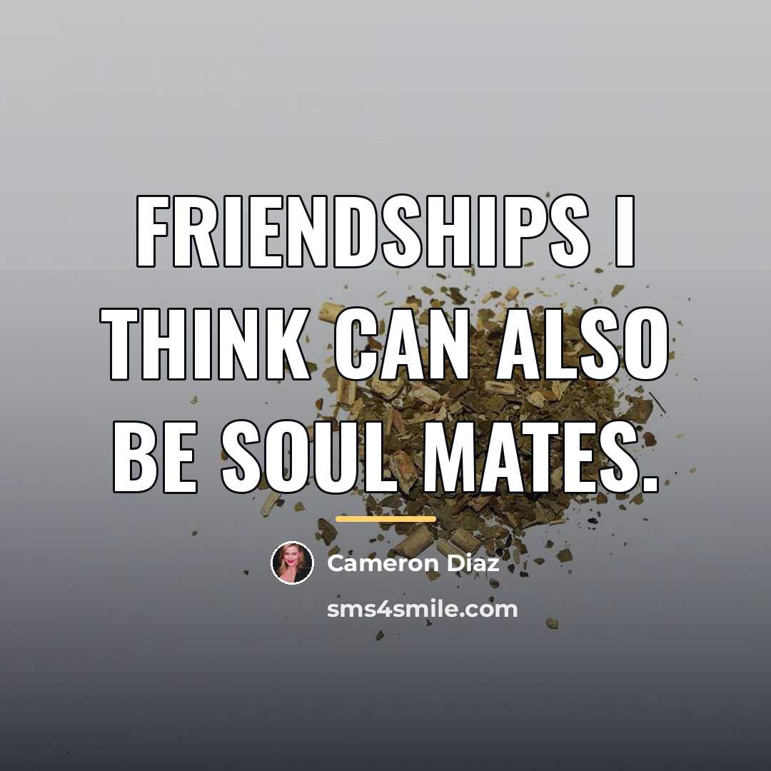 “Friendships I think can also be soul mates.…” quote by Cameron Diaz