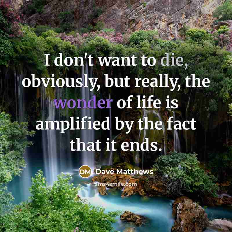 “I don't want to die, obviously, but really, the wonder…” quote by Dave Matthews