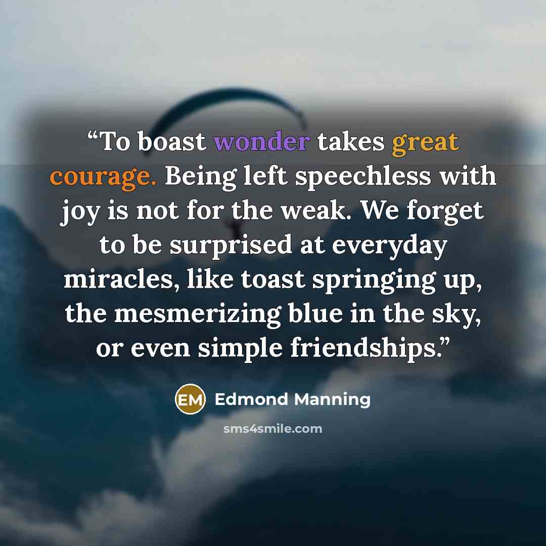 “To boast wonder takes great courage. Being left speechless with joy is not for the weak. We forget to be surprised at everyday miracles, like toast springing up, the mesmerizing blue in the sky, or even simple friendships.” quote by Edmond Manning