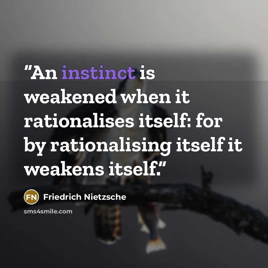“An instinct is weakened when it rationalises itself: for by rationalising itself it weakens itself.” quote by Friedrich Nietzsche