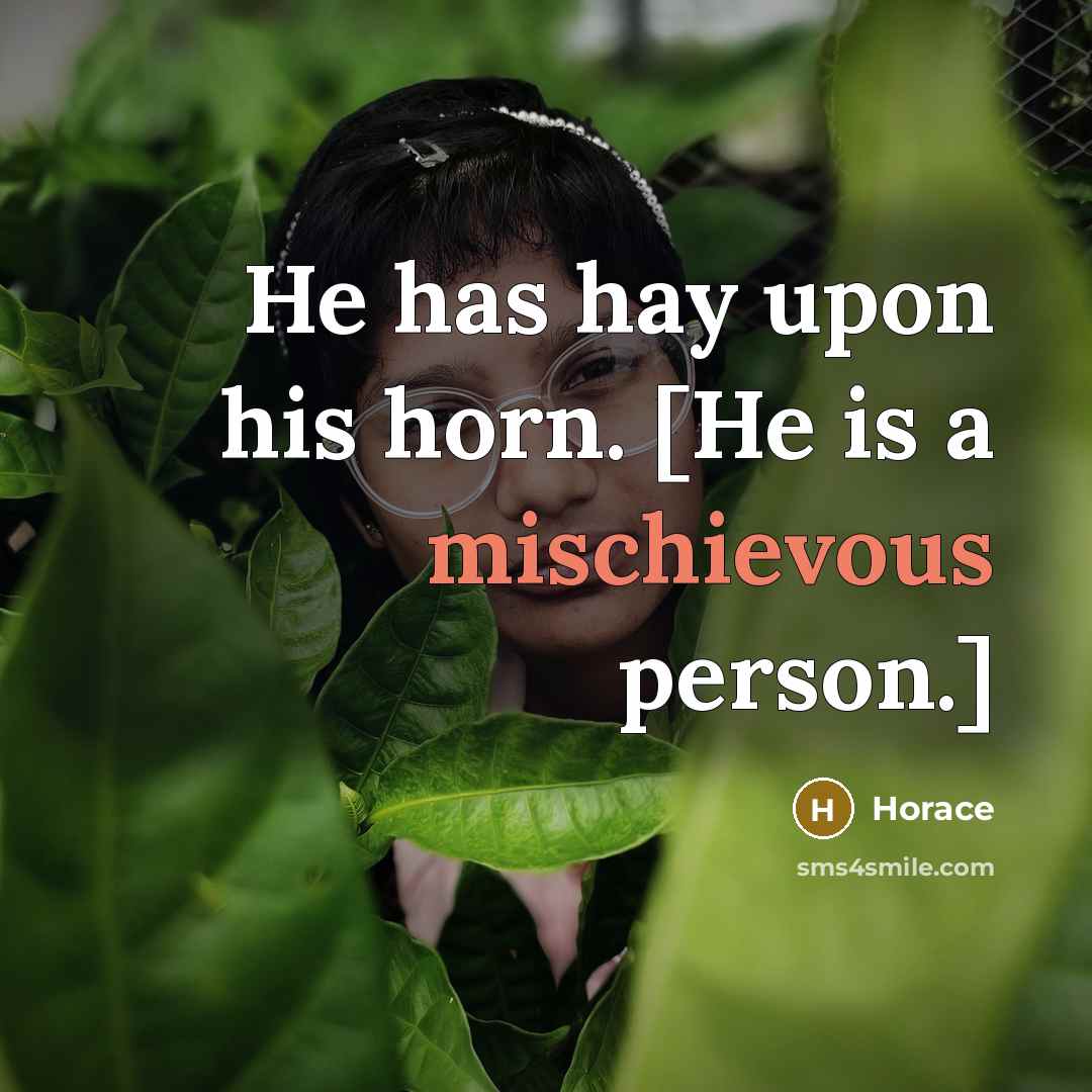 “He has hay upon his horn. [He is a mischievous…” quote by Horace