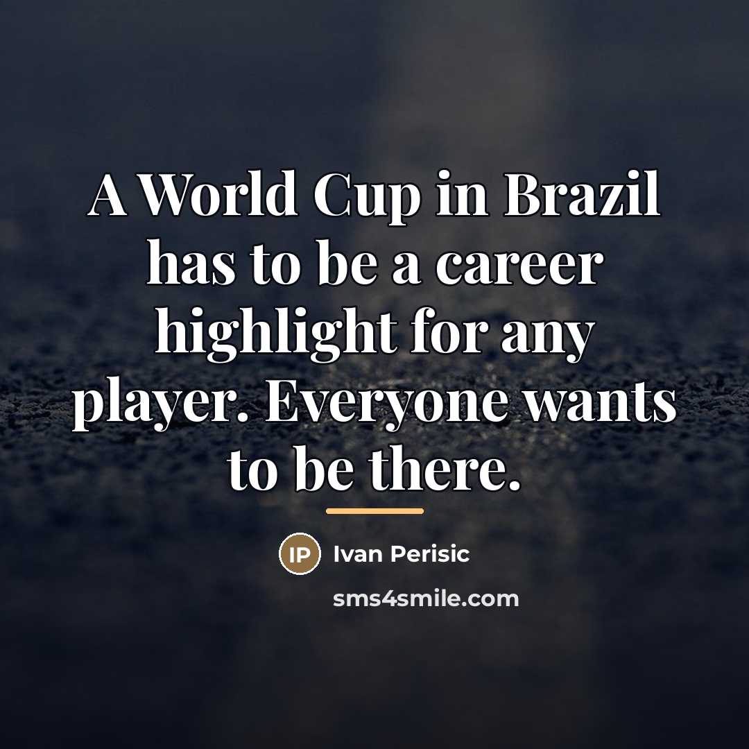 “A World Cup in Brazil has to be a career…” quote by Ivan Perisic