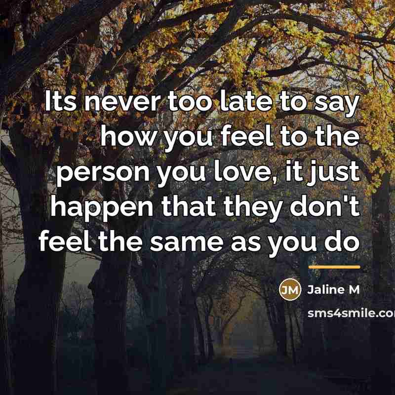 “Its never too late to say how you feel to…” quote by Jaline M