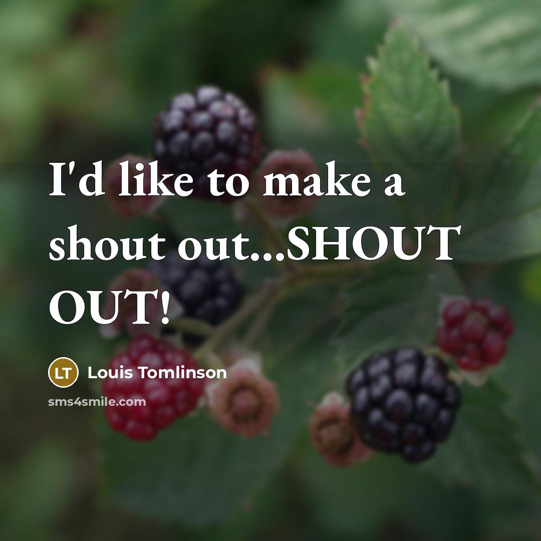 “I'd like to make a shout out...SHOUT OUT!…” quote by Louis Tomlinson