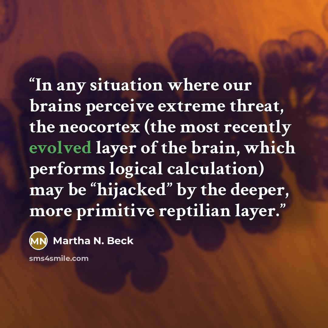 “In any situation where our brains perceive extreme threat, the neocortex (the most recently evolved layer of the brain, which performs logical calculation) may be “hijacked” by the deeper, more primitive reptilian layer.” quote by Martha N. Beck