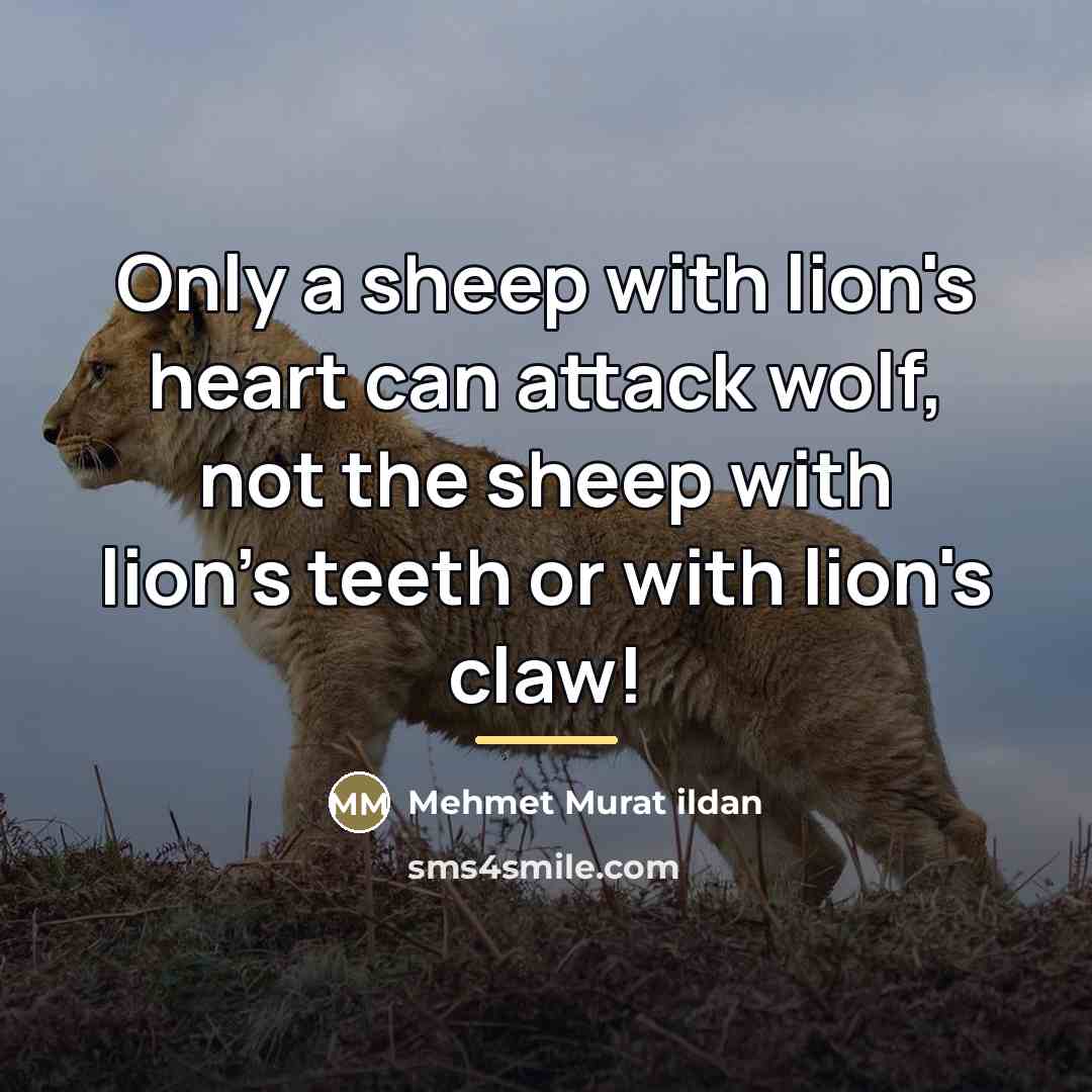 “Only a sheep with lion's heart can attack wolf, not…” quote by Mehmet Murat Ildan