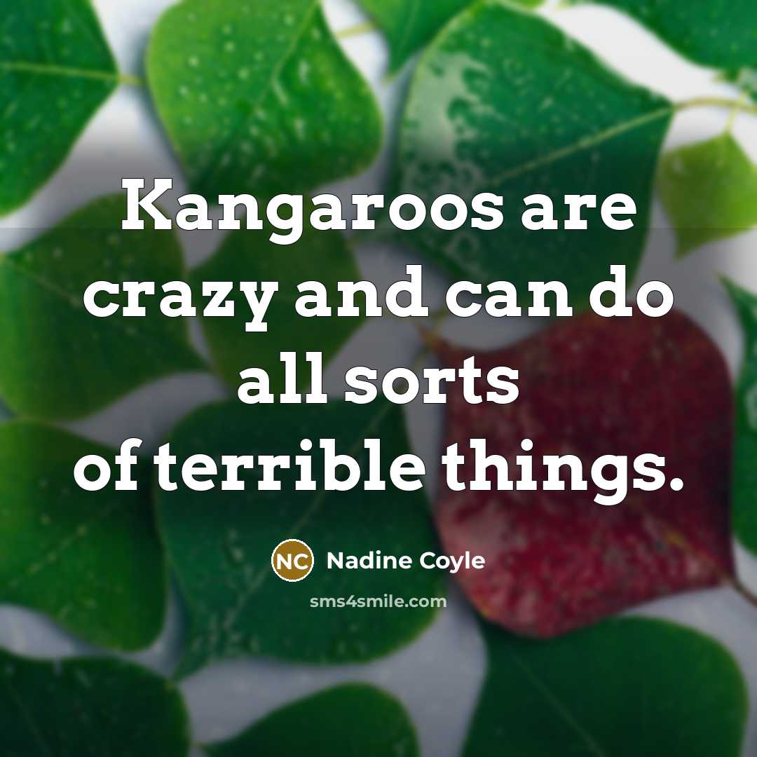 “Kangaroos are crazy and can do all sorts of terrible…” quote by Nadine Coyle