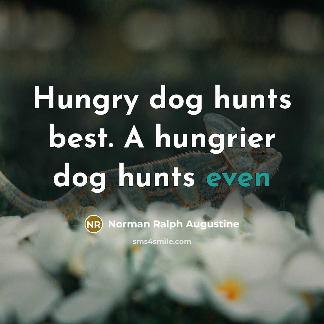 “Hungry dog hunts best. A hungrier dog hunts even” quote by Norman Ralph Augustine