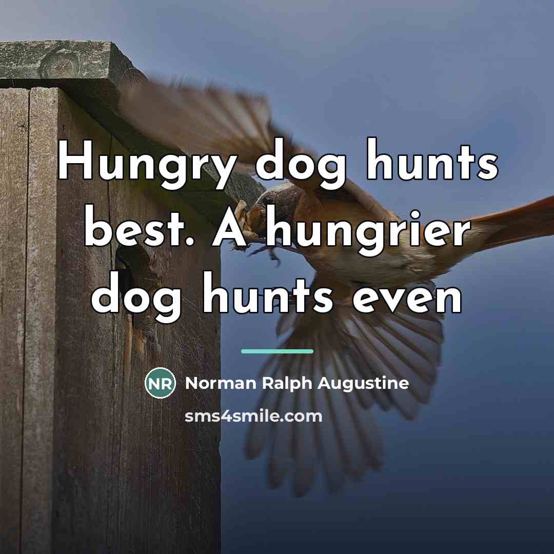 “Hungry dog hunts best. A hungrier dog hunts even…” quote by Norman Ralph Augustine
