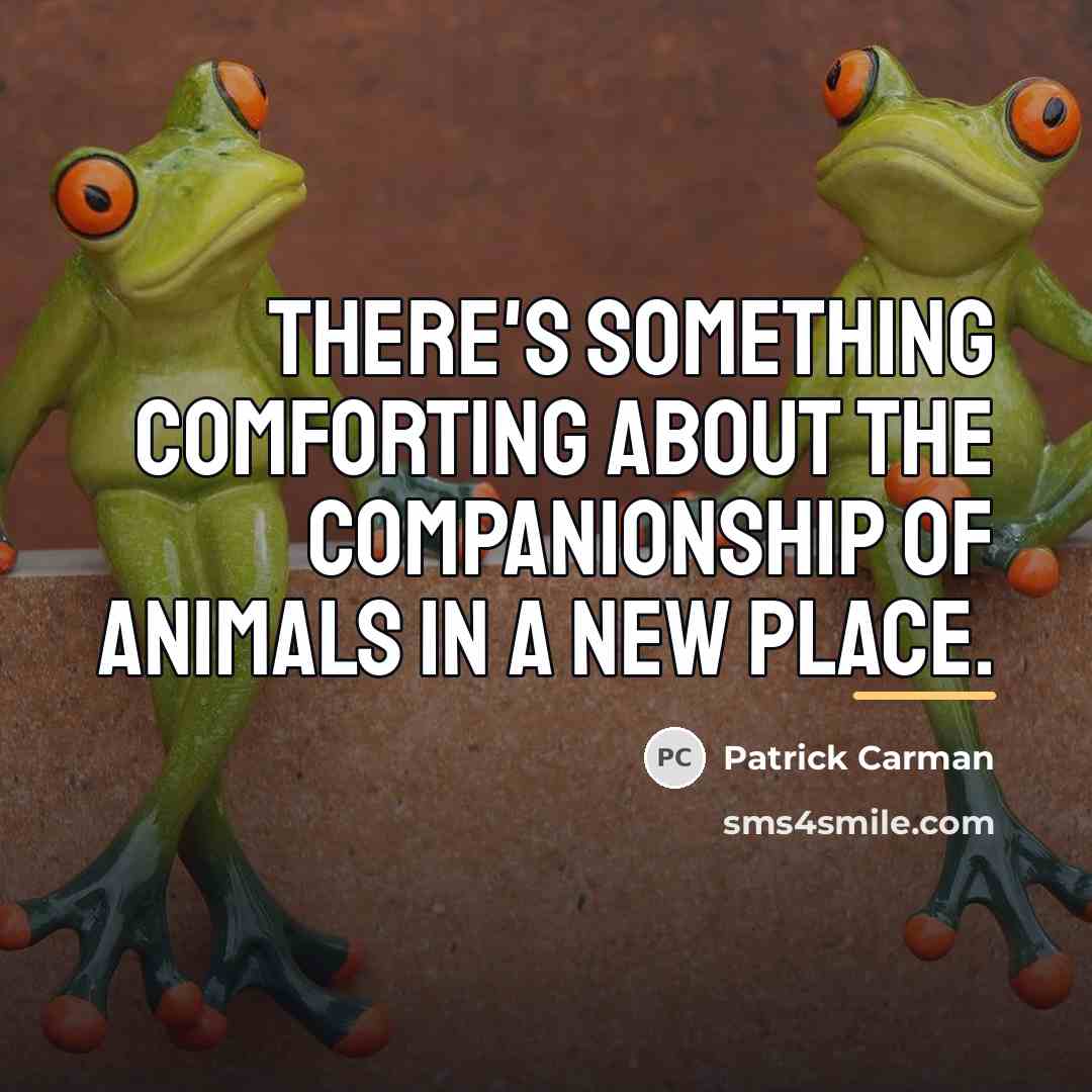 “There's something comforting about the companionship of animals in a…” quote by Patrick Carman