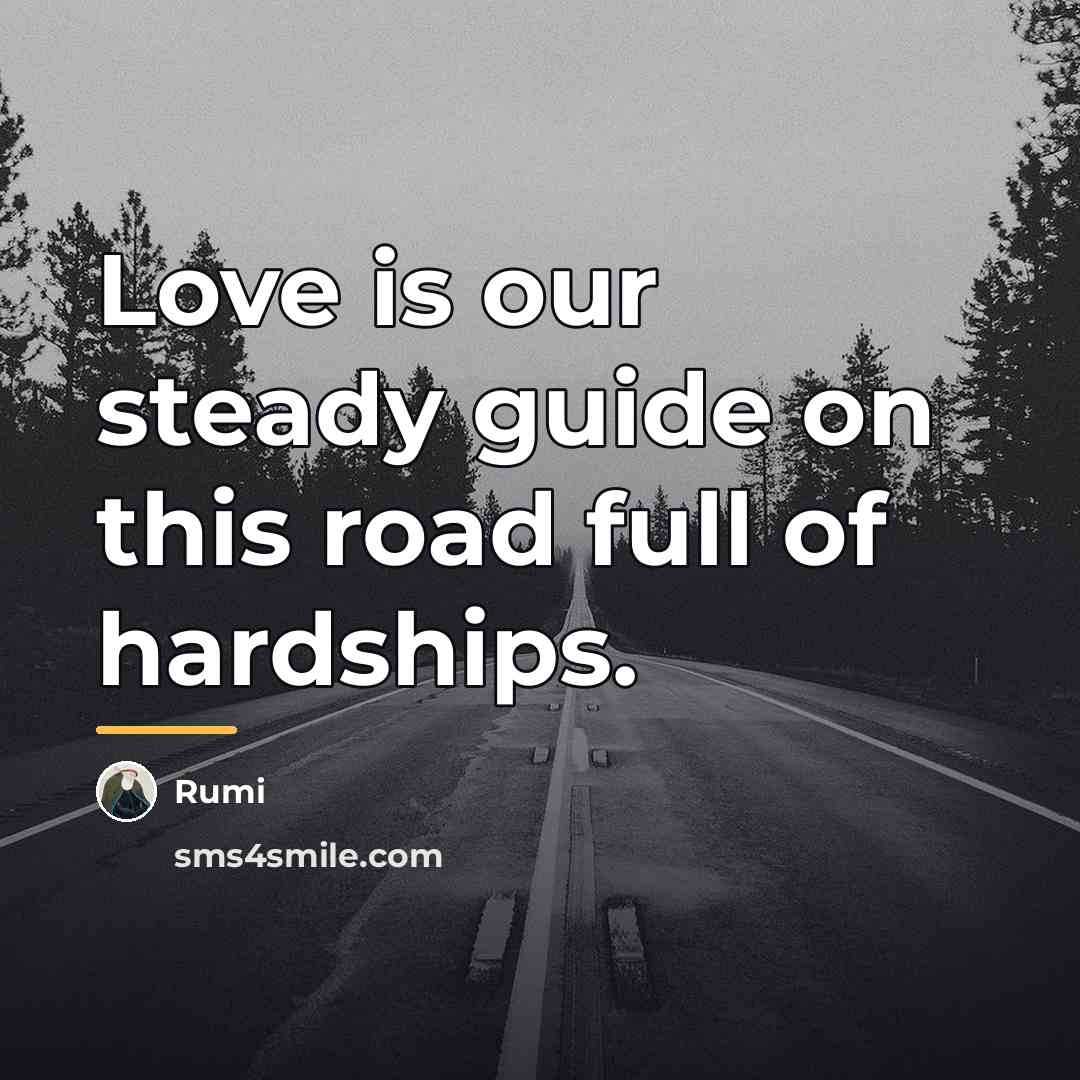 “Love is our steady guide on this road full of…” quote by Rumi