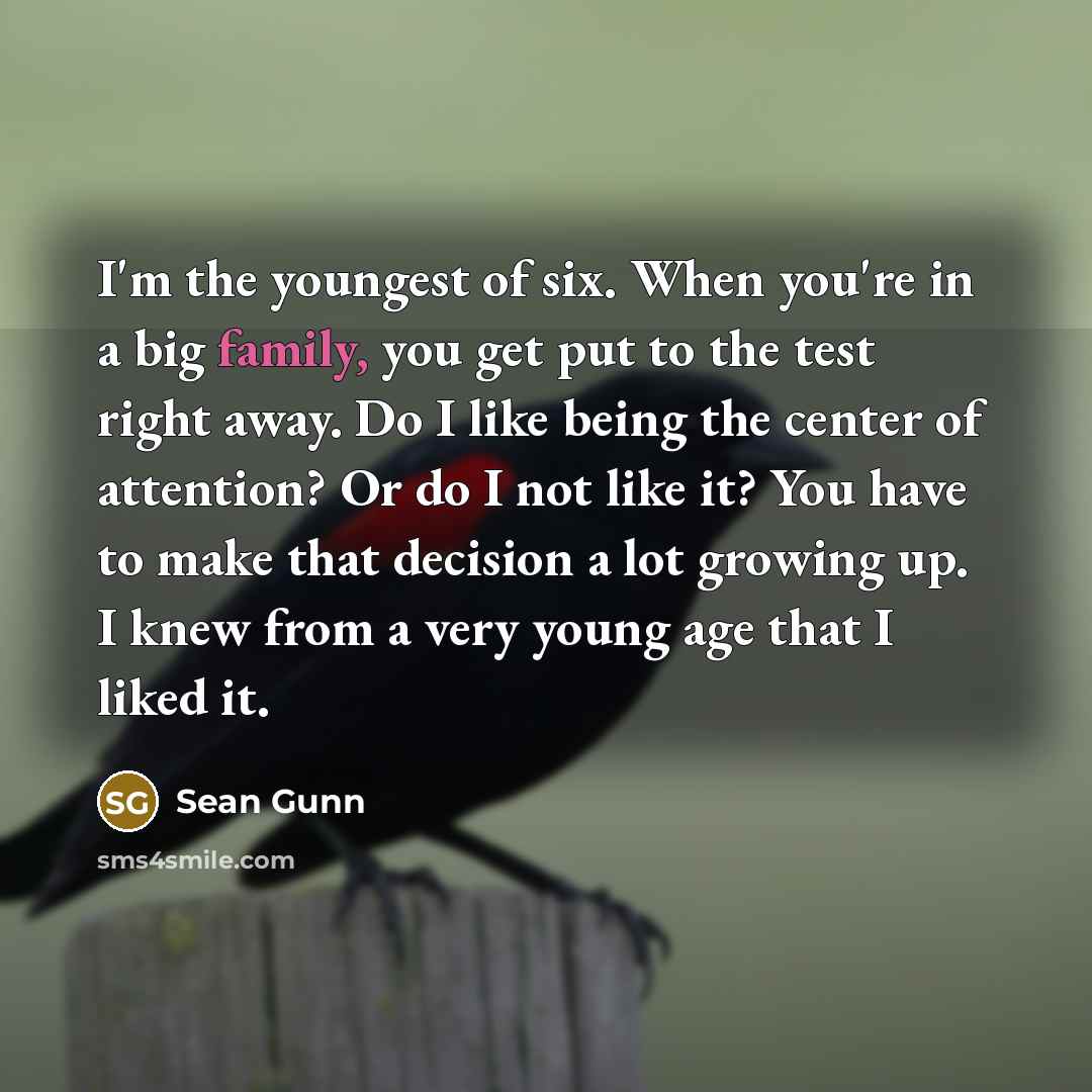 “I'm the youngest of six. When you're in a big…” quote by Sean Gunn