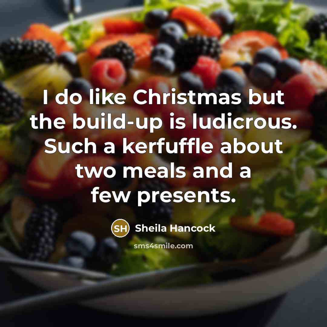 “I do like Christmas but the build-up is ludicrous. Such…” quote by Sheila Hancock