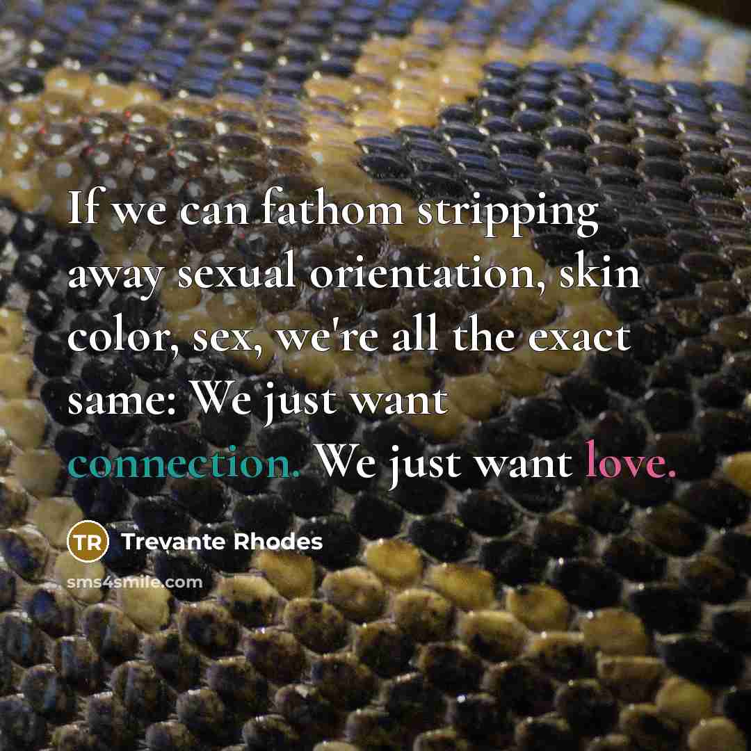 “If we can fathom stripping away sexual orientation, skin color,…” quote by Trevante Rhodes