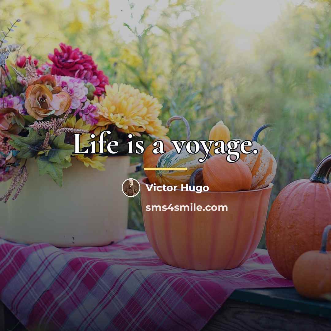 “Life is a voyage.…” quote by Victor Hugo