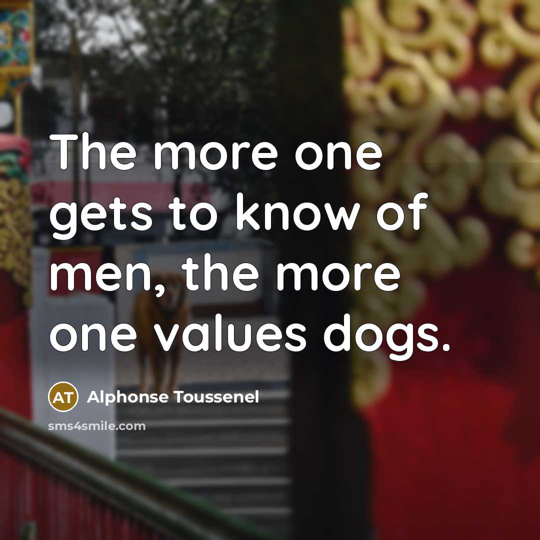 “The more one gets to know of men, the more one values dogs.” quote by Alphonse Toussenel