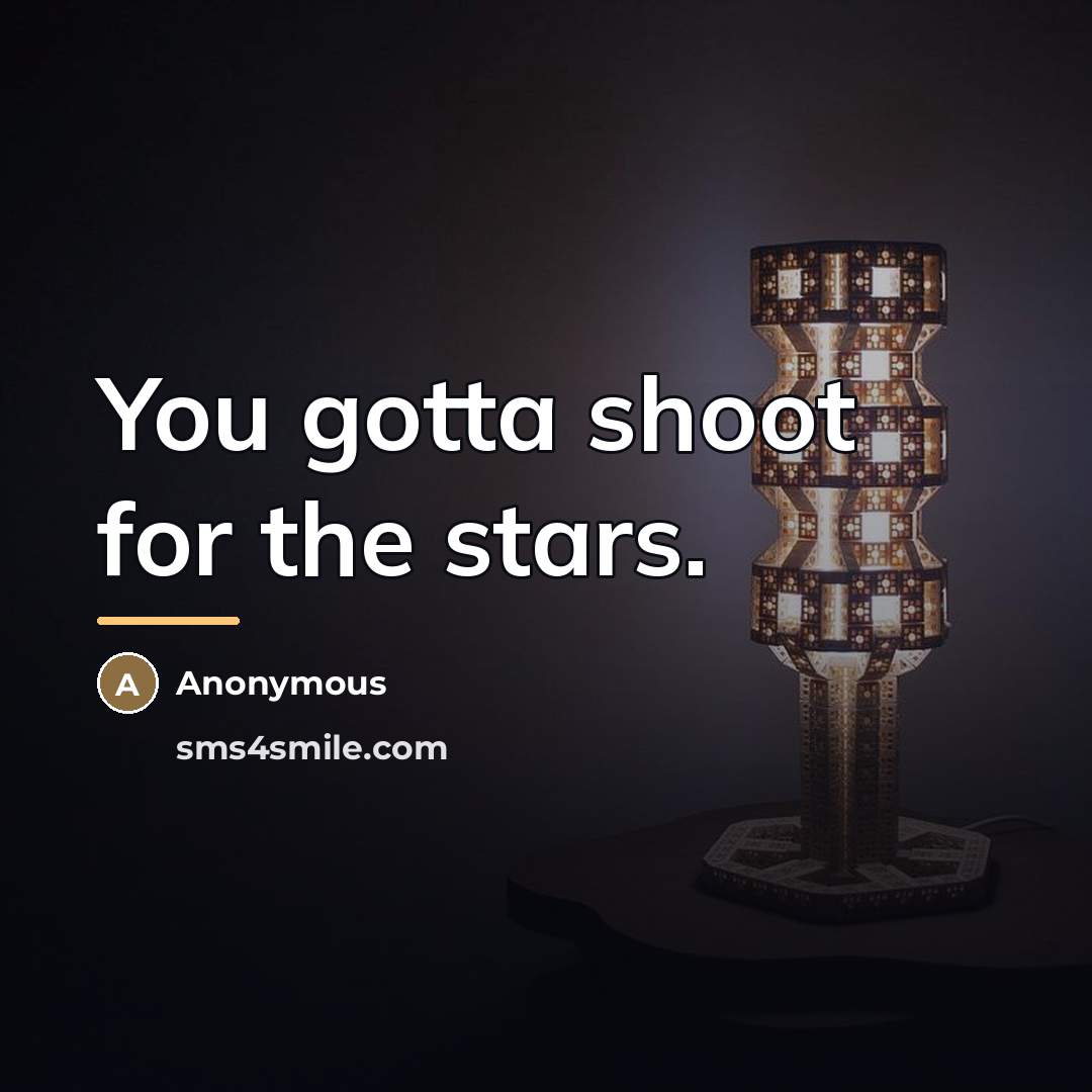 “You gotta shoot for the stars.…” quote by Anonymous