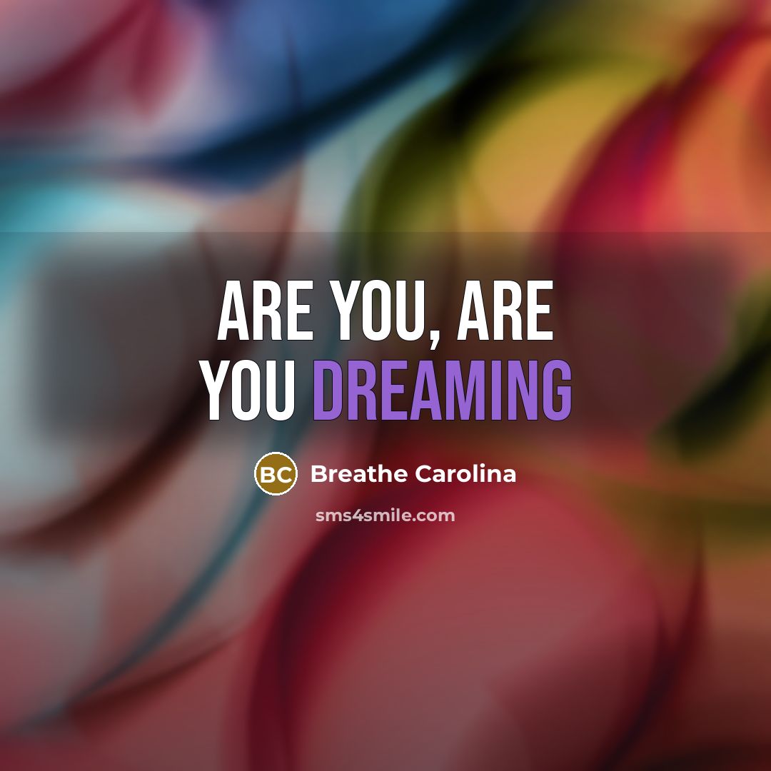 “Are you, are you dreaming…” quote by Breathe Carolina
