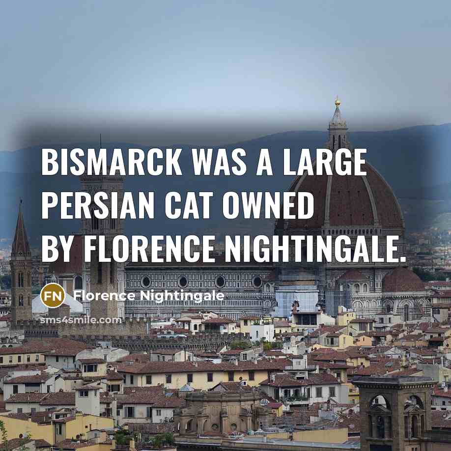 “Bismarck was a large persian cat owned by Florence Nightingale.…” quote by Florence Nightingale