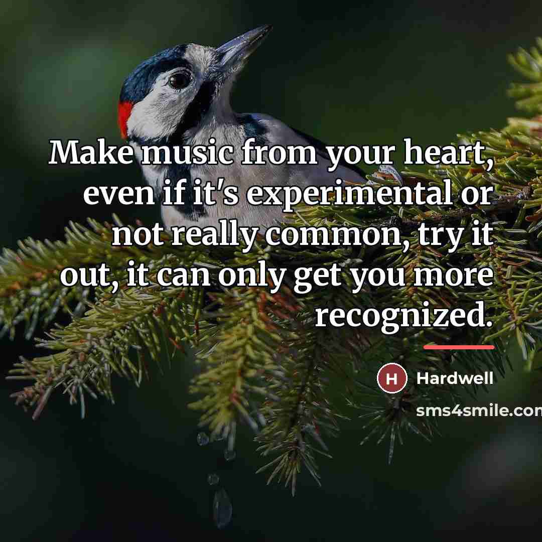 “Make music from your heart, even if it's experimental or…” quote by Hardwell