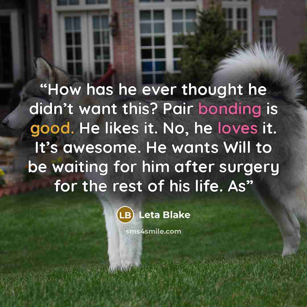 “How has he ever thought he didn’t want this? Pair bonding is good. He likes it. No, he loves it. It’s awesome. He wants Will to be waiting for him after surgery for the rest of his life. As” quote by Leta Blake