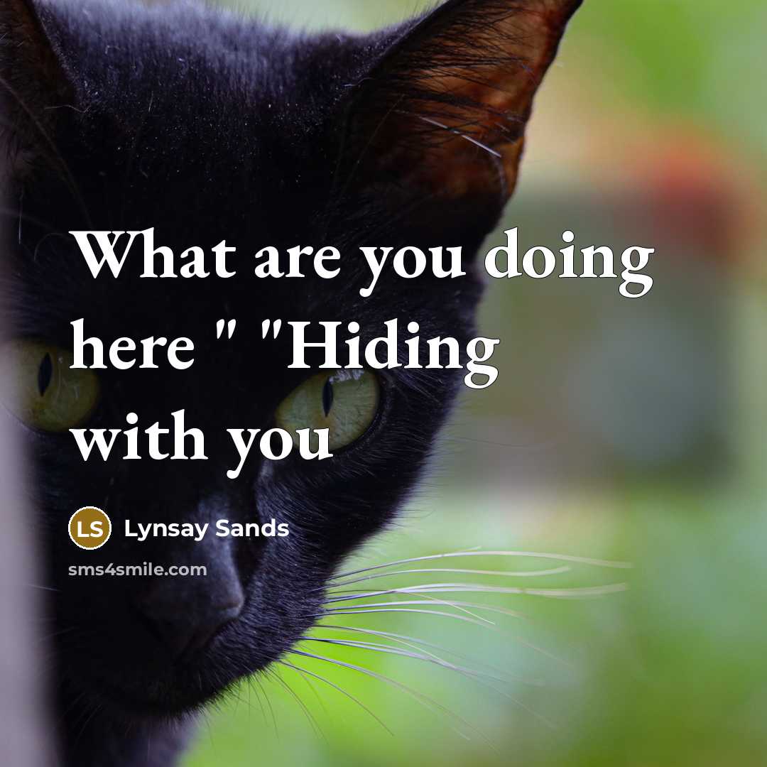 “What are you doing here " "Hiding with you…” quote by Lynsay Sands