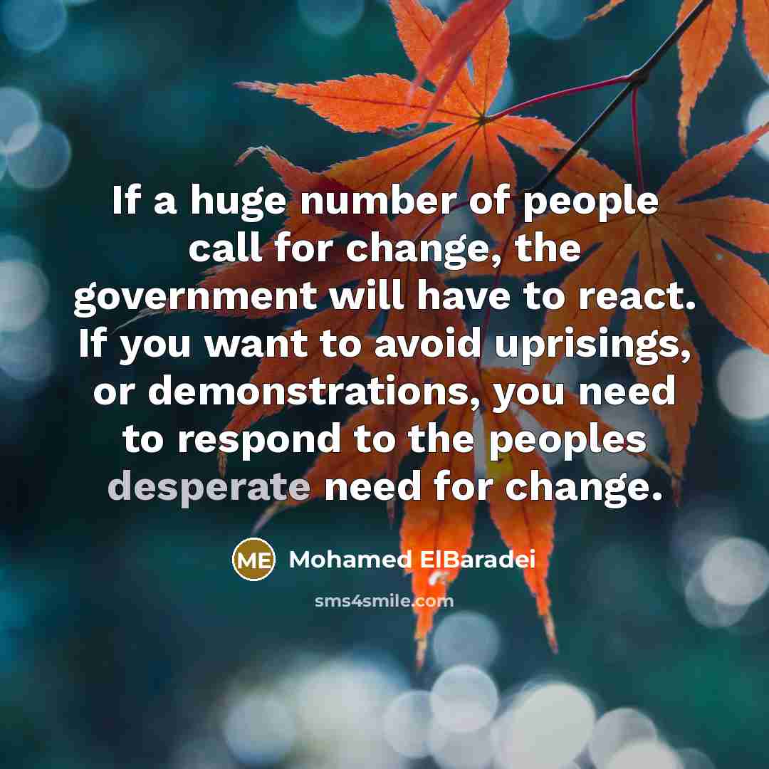 “If a huge number of people call for change, the…” quote by Mohamed ElBaradei