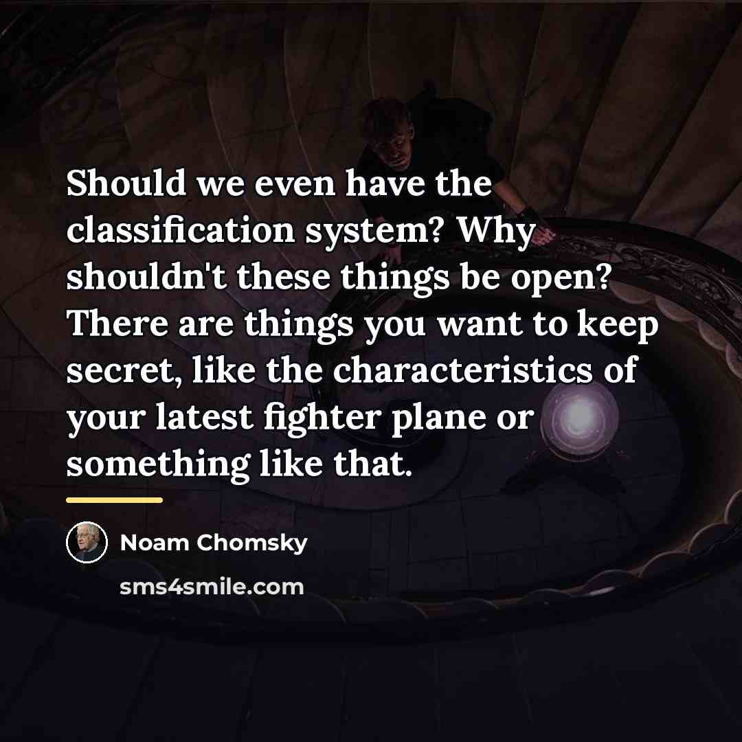 “Should we even have the classification system? Why shouldn't these…” quote by Noam Chomsky