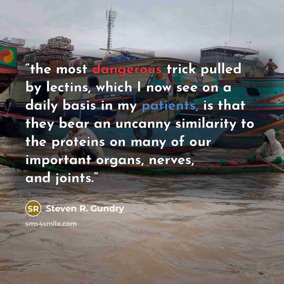 “the most dangerous trick pulled by lectins, which I now see on a daily basis in my patients, is that they bear an uncanny similarity to the proteins on many of our important organs, nerves, and joints.” quote by Steven R. Gundry