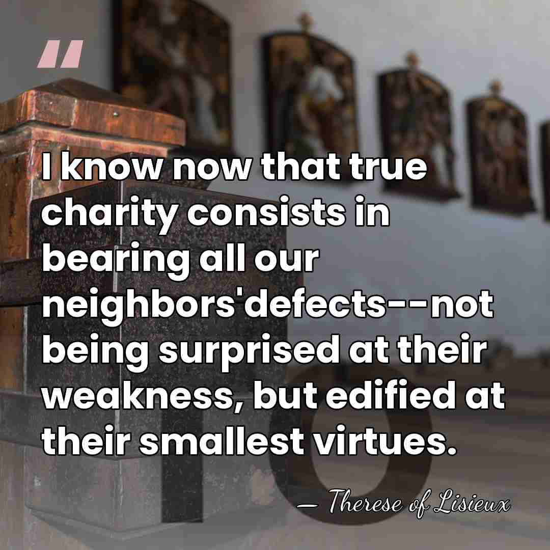 I know now that true charity consists in bearing all our neighbors'defects--not&hellip; - Therese of Lisieux