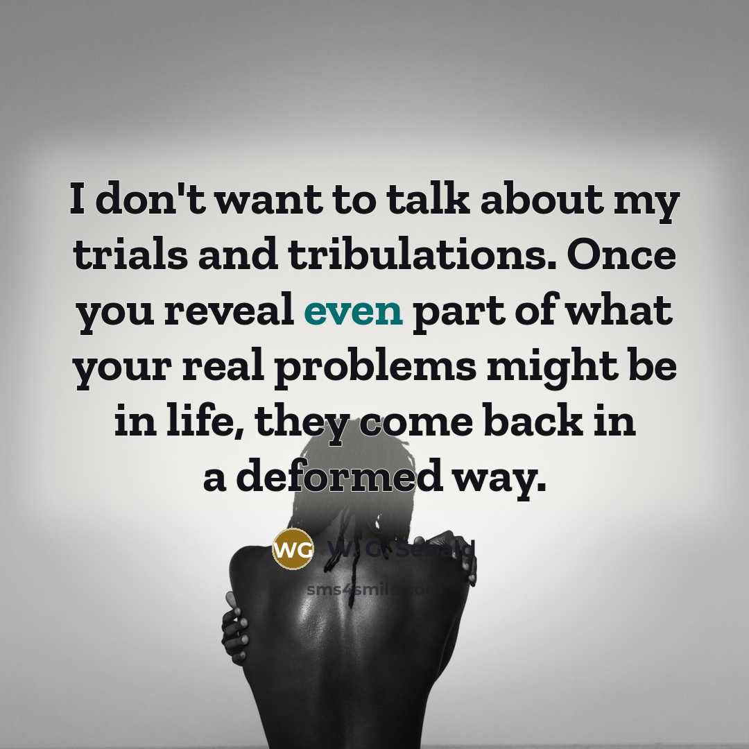 “I don't want to talk about my trials and tribulations.…” quote by W. G. Sebald