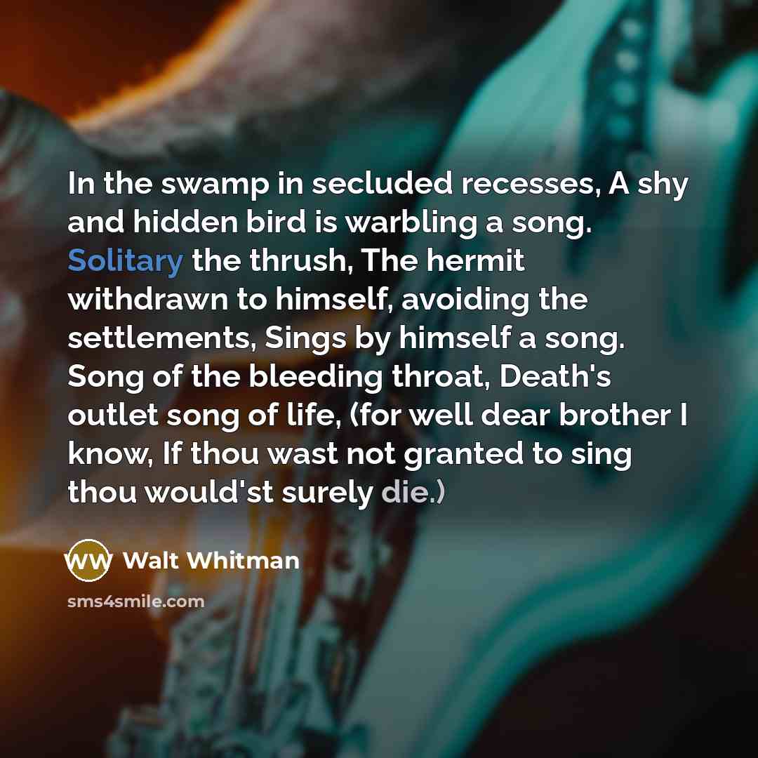 “In the swamp in secluded recesses, A shy and hidden…” quote by Walt Whitman