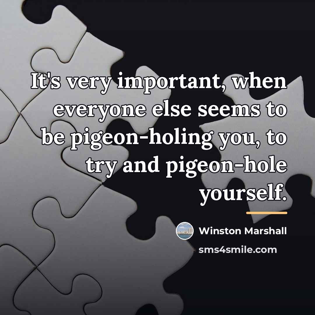 “It's very important, when everyone else seems to be pigeon-holing…” quote by Winston Marshall
