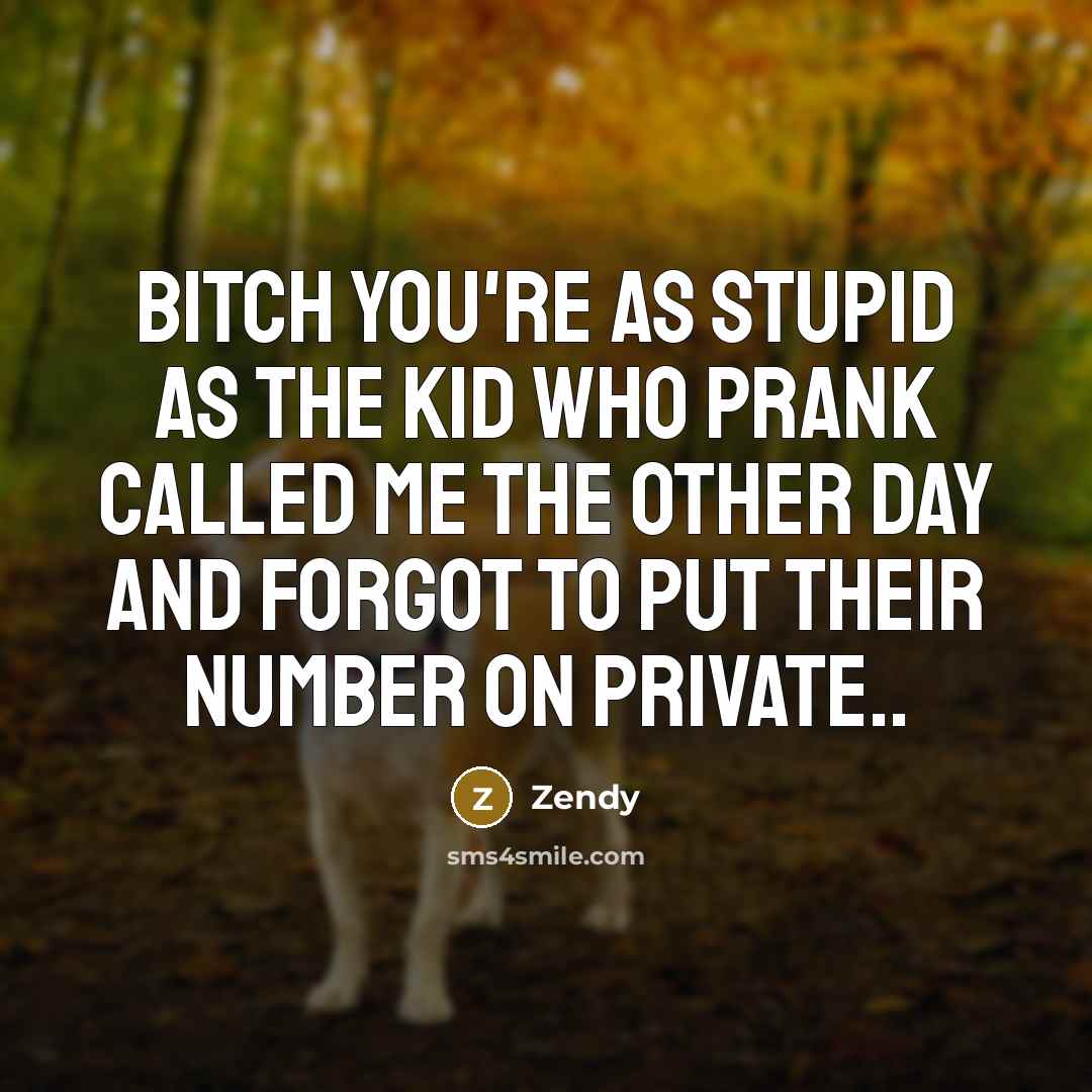 “Bitch you're as stupid as the kid who prank called…” quote by Zendy