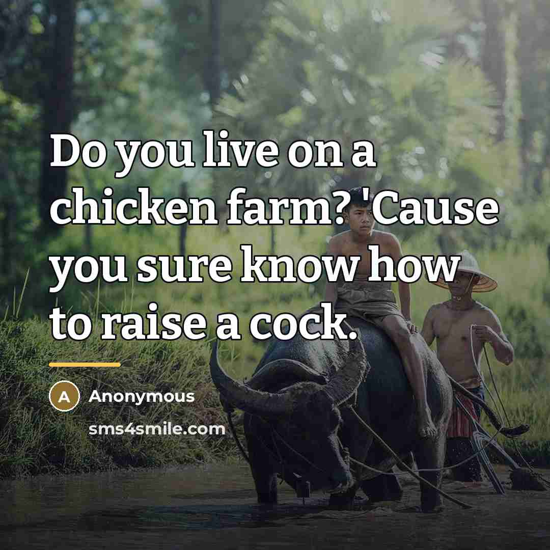 “Do you live on a chicken farm? 'Cause you sure…” quote by Anonymous