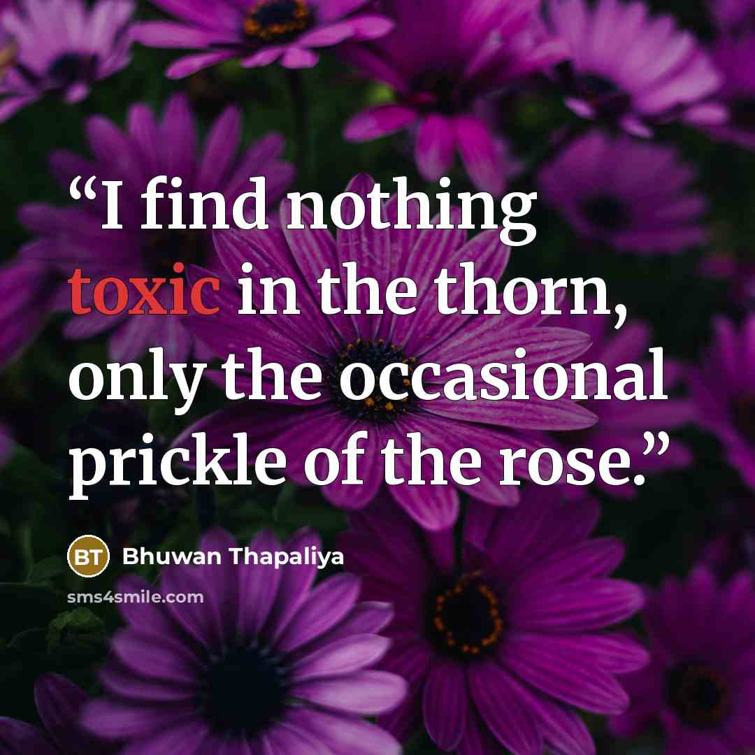 “I find nothing toxic in the thorn, only the occasional prickle of the rose.” quote by Bhuwan Thapaliya
