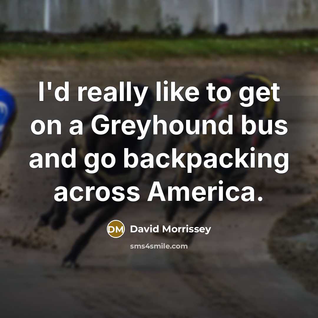 “I'd really like to get on a Greyhound bus and…” quote by David Morrissey
