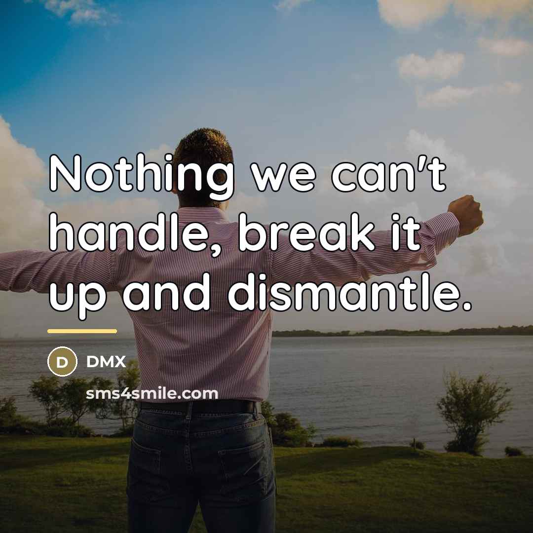 “Nothing we can't handle, break it up and dismantle.…” quote by DMX