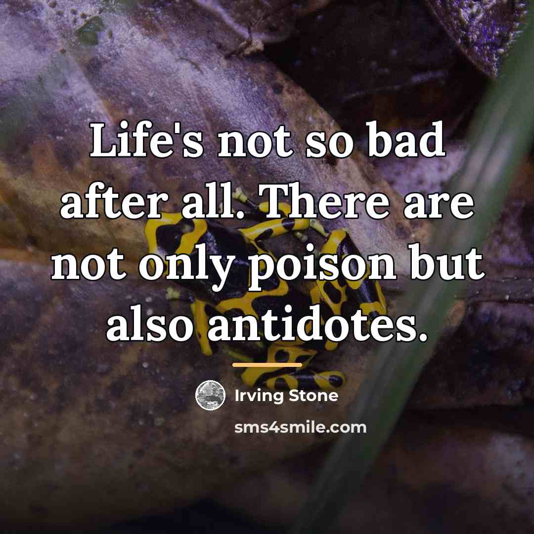 “Life's not so bad after all. There are not only…” quote by Irving Stone