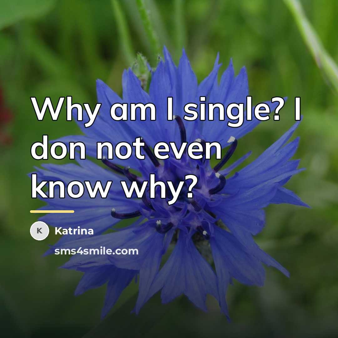 “Why am I single? I don not even know why?…” quote by Katrina