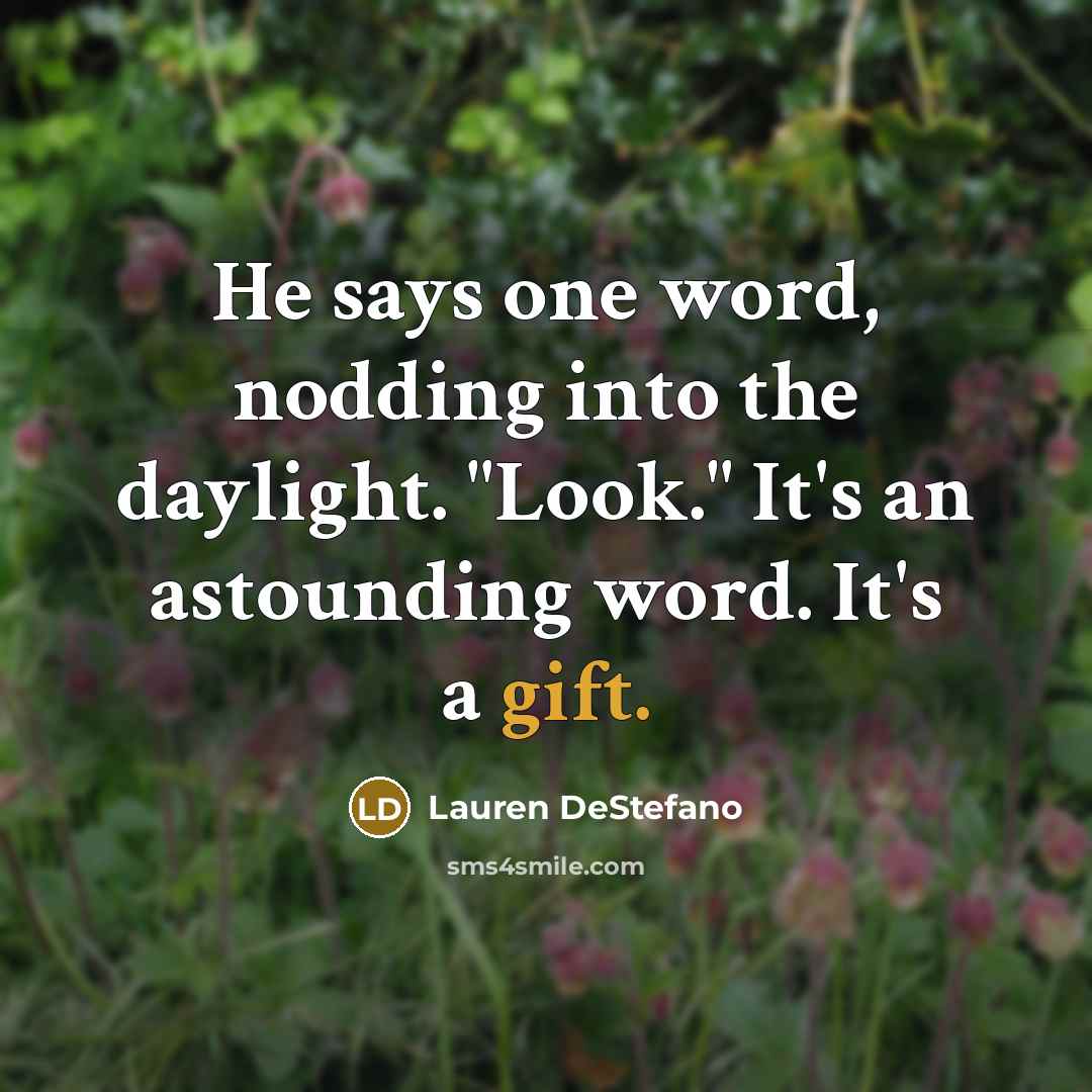 “He says one word, nodding into the daylight. "Look." It's…” quote by Lauren DeStefano