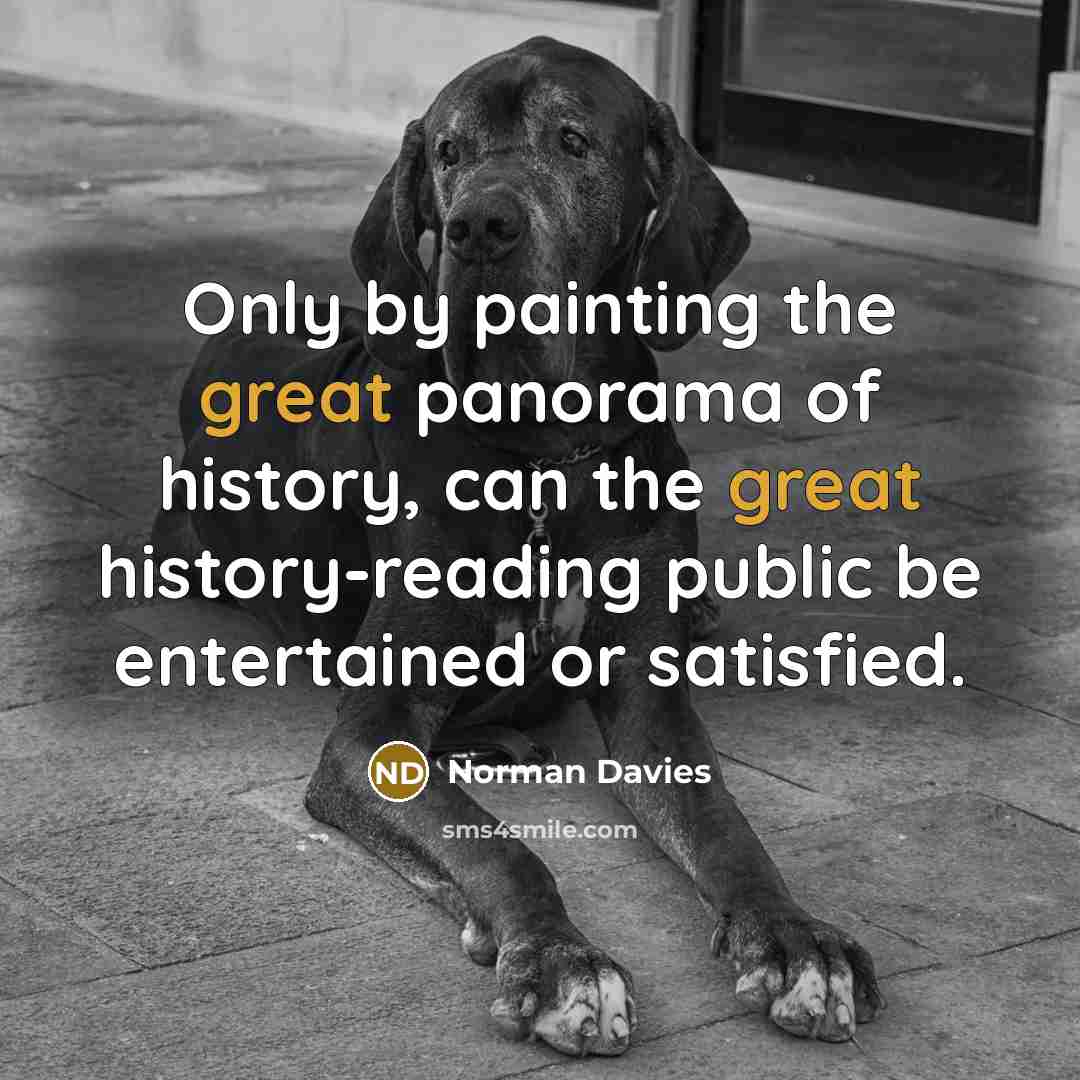 “Only by painting the great panorama of history, can the…” quote by Norman Davies