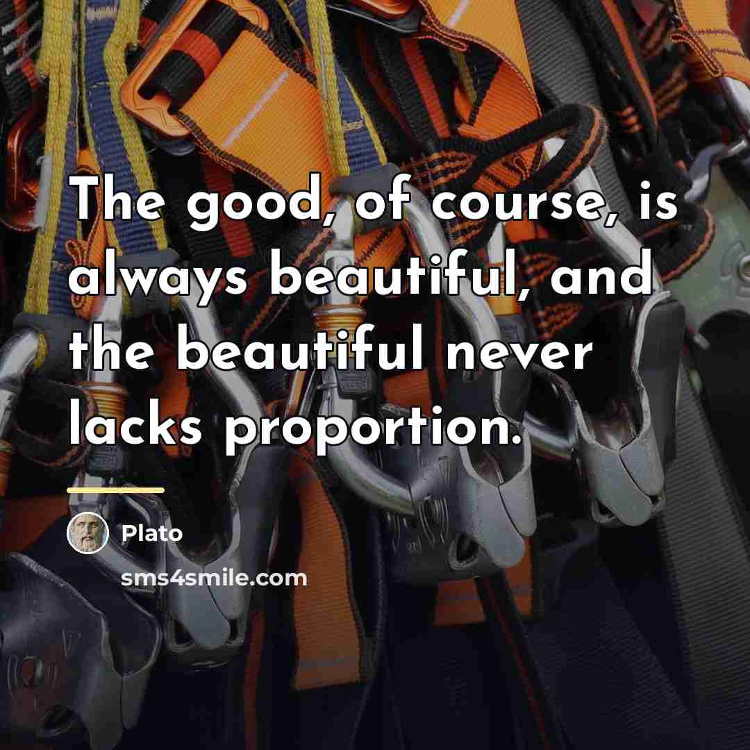 “The good, of course, is always beautiful, and the beautiful…” quote by Plato