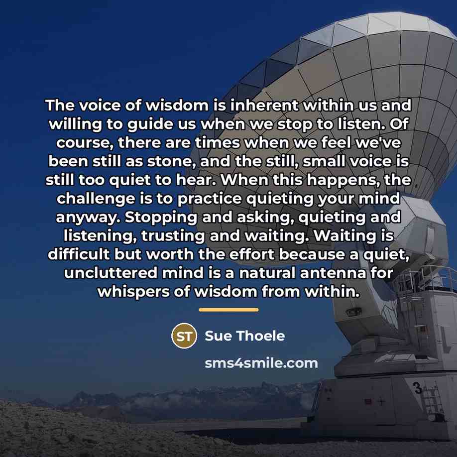 “The voice of wisdom is inherent within us and willing…” quote by Sue Thoele