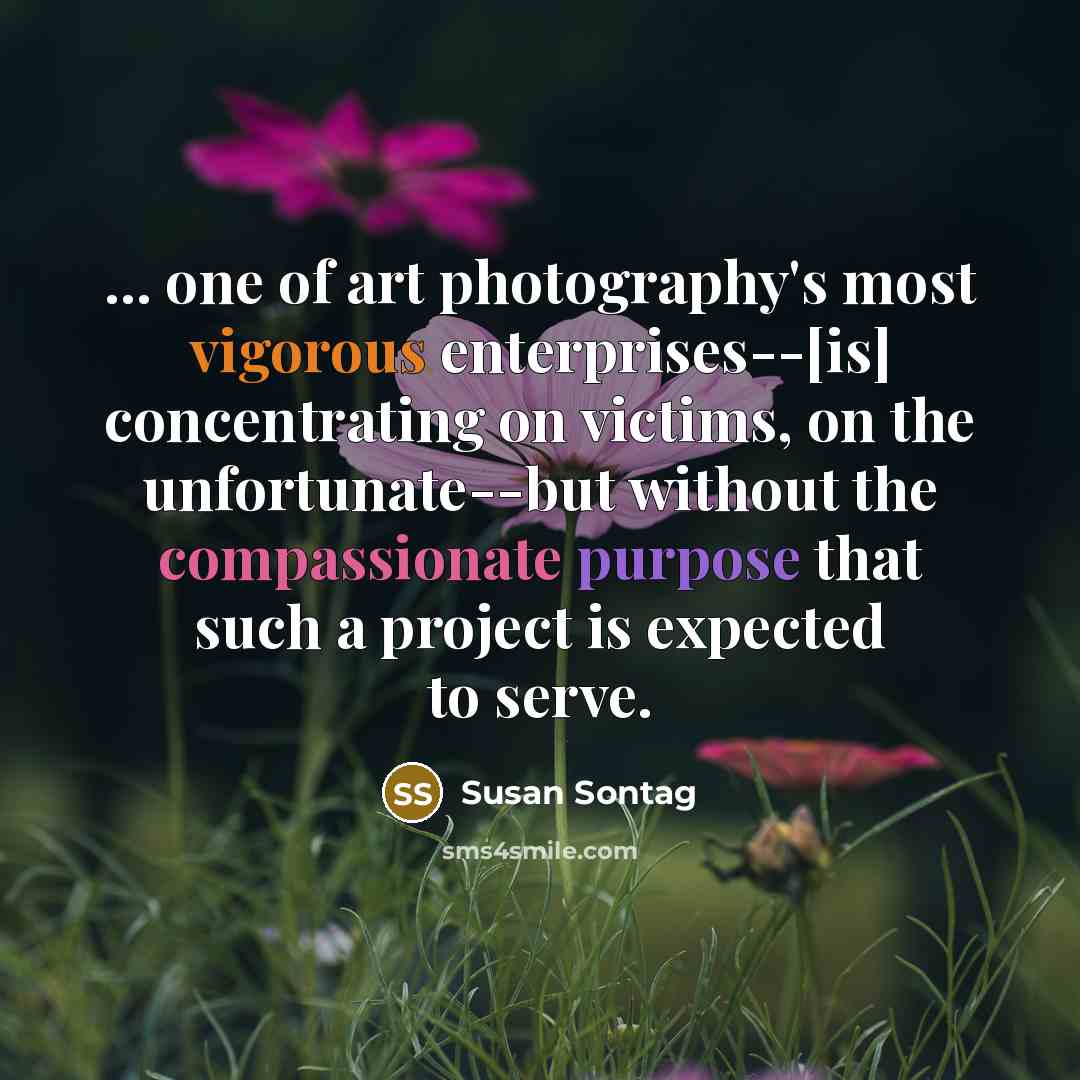 “... one of art photography's most vigorous enterprises--[is] concentrating on…” quote by Susan Sontag