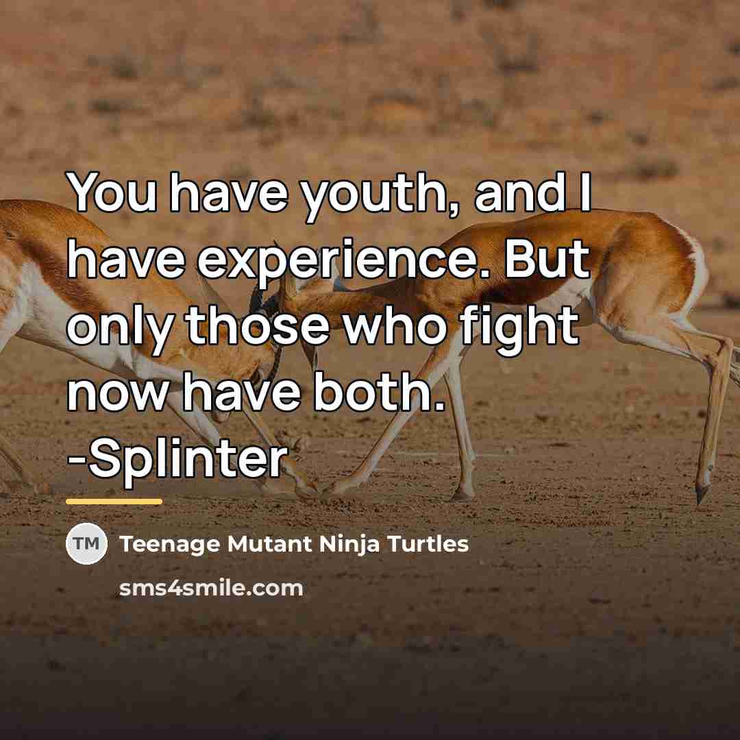 “You have youth, and I have experience. But only those…” quote by Teenage Mutant Ninja Turtles