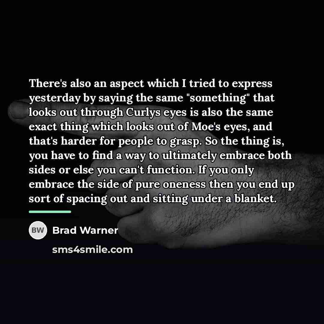 “There's also an aspect which I tried to express yesterday…” quote by Brad Warner