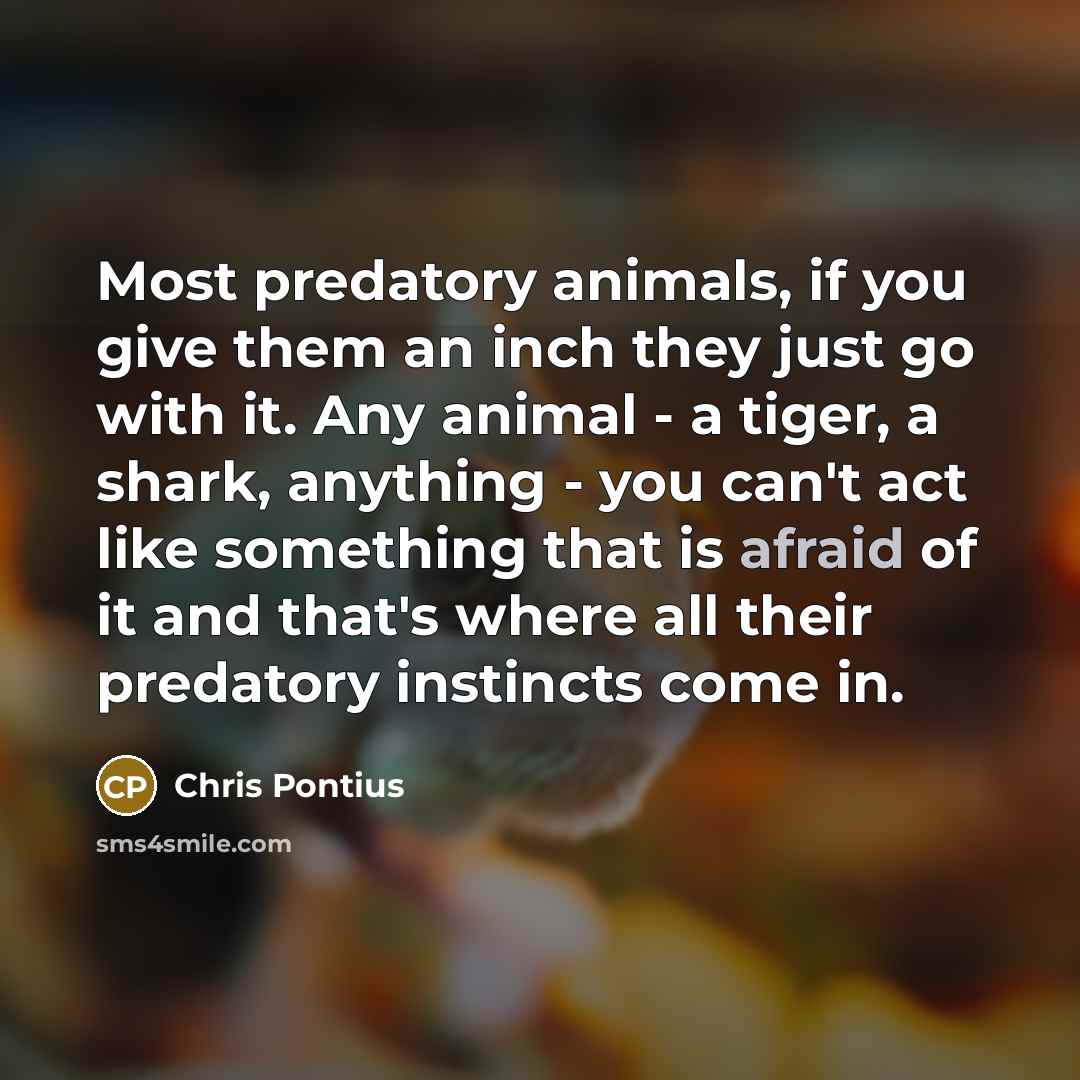 “Most predatory animals, if you give them an inch they…” quote by Chris Pontius